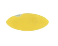 Brennus Bleu et Jaune