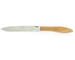 Crocus Olivier - 1 mitre