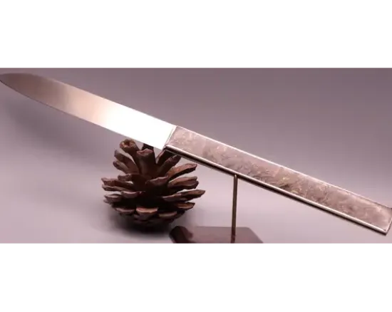 Diderot par Bastien Toubhans Manche serti Fibre de Carbone