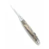 Laguiole 12 cm Cactus Ambre - 2 mitres