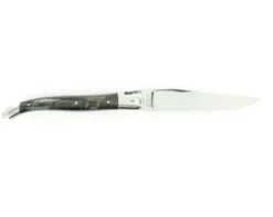 Laguiole 12 cm Croûte de Buffle - 2 mitres