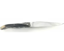 Laguiole 12 cm - Pointe de Corne - Plein Manche