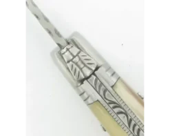 Laguiole Corne Carbone