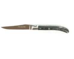 Laguiole Pocket Buffle Brut 14C28