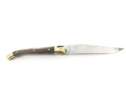 Laguiole Tradition 9 cm - 2 mitres laiton - Pistachier