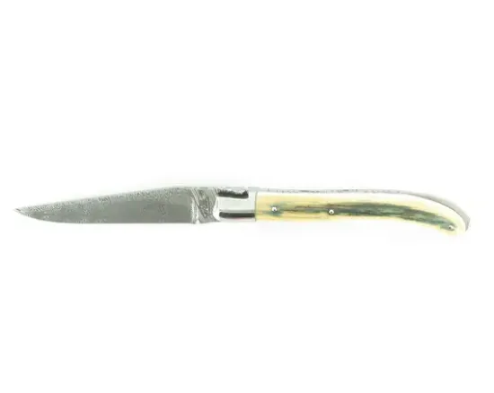 Laguiole XS Damas Ivoire de Mammouth (bleu)