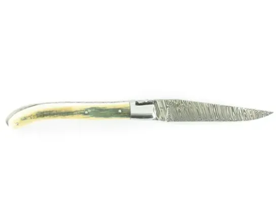 Laguiole XS Damas Ivoire de Mammouth (bleu)