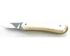 1 Lancette LE BEC manche en coquille d'Huîtres - couleur : Blanc
