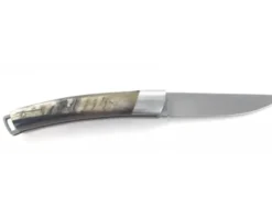 Le Thiers® Bélier