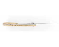 Le Thiers® Bouleau de Norvège