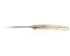 Le Thiers® 200 Corne Blonde