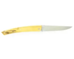 Le Thiers® Coursolle 12 cm Buis Plein Manche