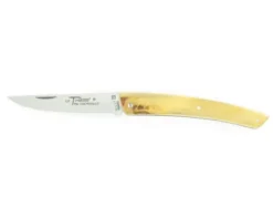 Le Thiers® Coursolle 12 cm Buis Plein Manche