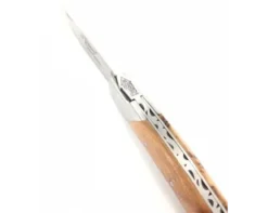 Le Thiers® Pirou 10 cm Genévrier