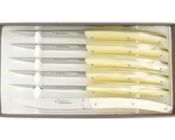 Le Thiers® Table - coffret de 6 pièces - Manche Acrylique Champagne
