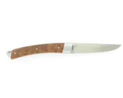 Le Thiers Thuya - Pompe arrière