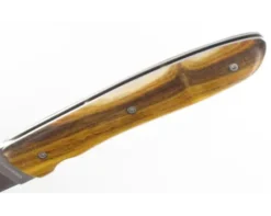L08 Pistachier
