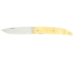 Nautilys - Buis ondé