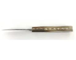 Rouennais 11 cm - Corne Blonde - Guilloché