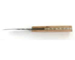 Rouennais 11 cm - Pommier - Guilloché