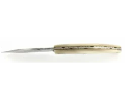 Saint Amand 12 cm - Corne Blonde - Guilloché