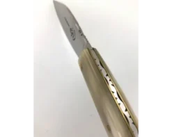 Saint Amand 12 cm - Corne Blonde - Guilloché