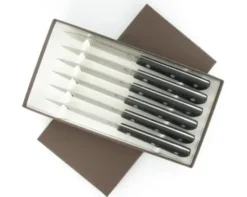SET DE 6 COUTEAUX DE TABLE 10 cm - manche G10 - Série 200
