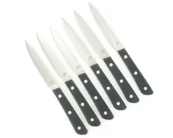 SET DE 6 COUTEAUX DE TABLE 10 cm - manche G10 - Série 200