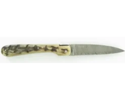 Vendetta Damas Bélier