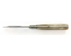 Violon 10 cm - Corne Blonde