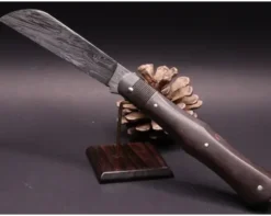 Violon Damas carbone Explosion de Louis Blanchet Fat Carbone